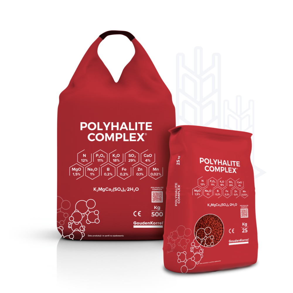 Polyhalite Complex
