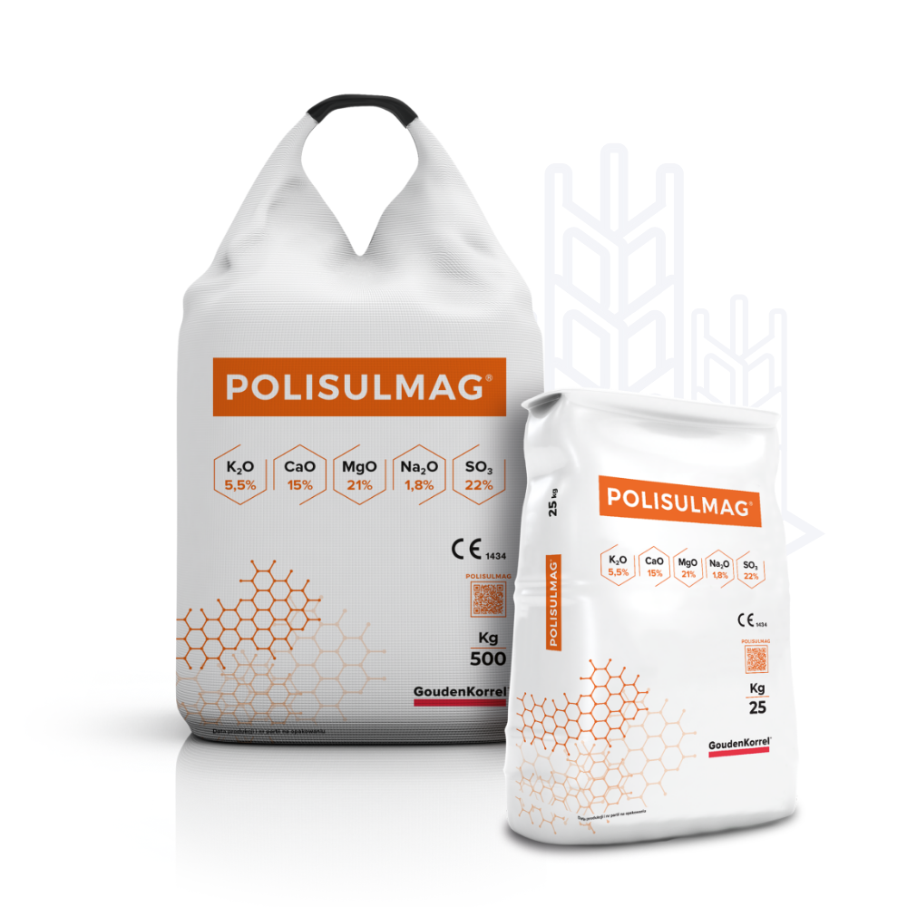 Polisumag