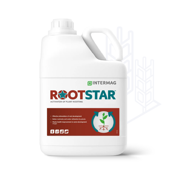 ROOTSTAR