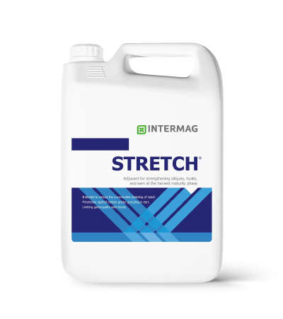 stretch